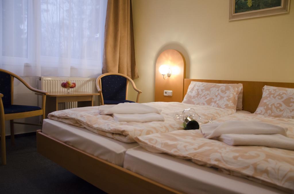 Hotel Zatisi Františkovy Lázně Szoba fotó